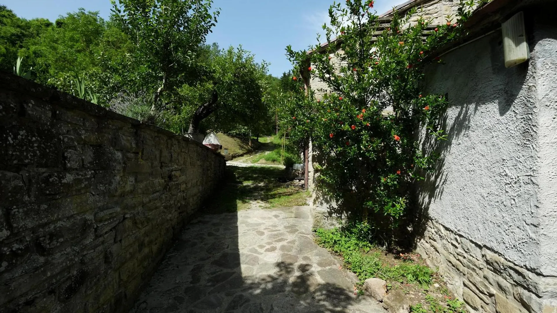 Agriturismo Mulino Di Culmolle Raggio Farm stay