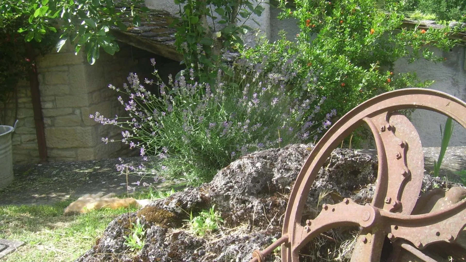 Agriturismo Mulino Di Culmolle Raggio Farm stay
