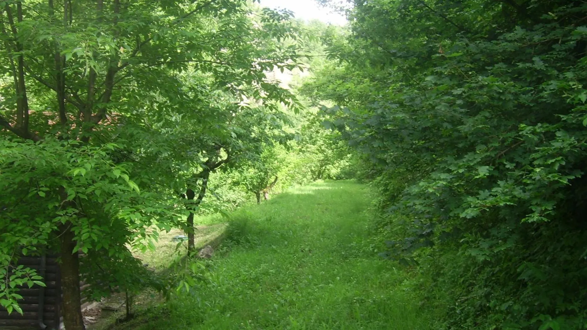 Agriturismo Mulino Di Culmolle Raggio 팜스테이